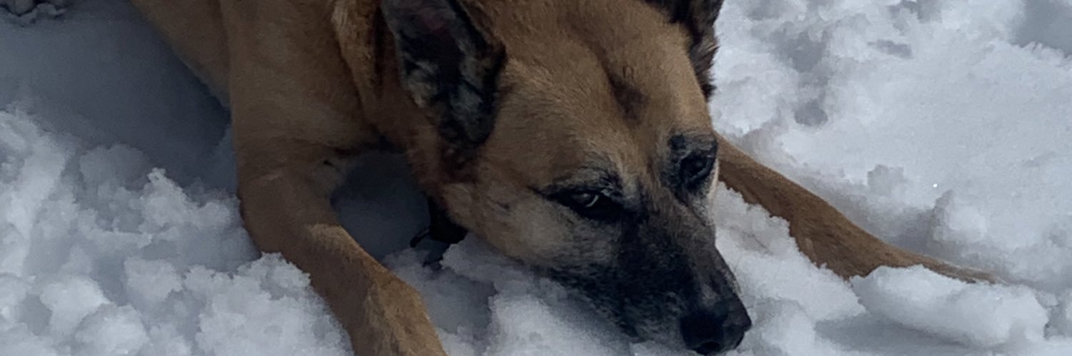 imdoingwhatican's profile banner image