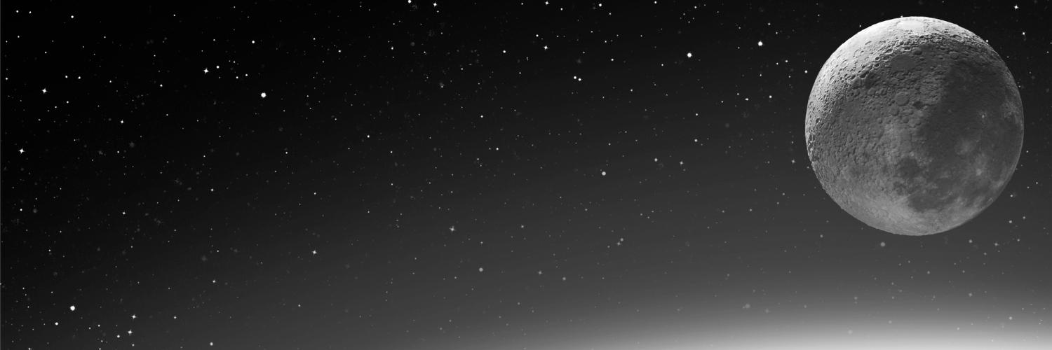 0xchipopo's profile banner image