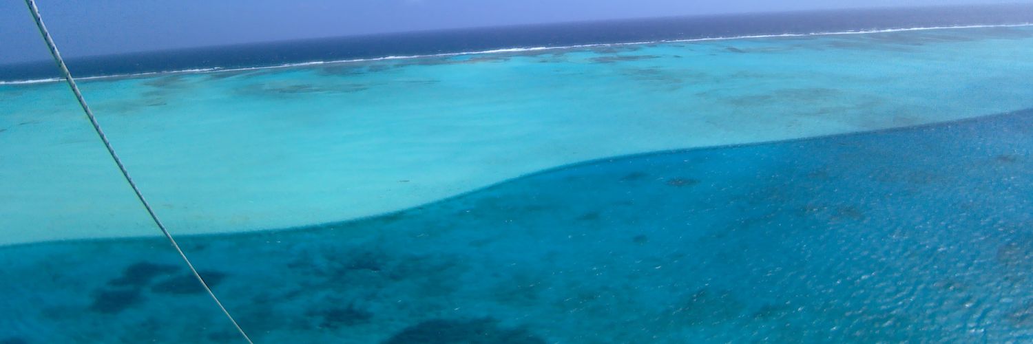 brian_the_first's profile banner image