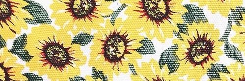 morgantimmerman's profile banner image
