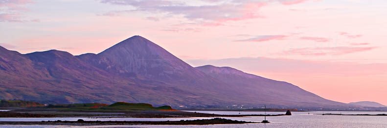 Suzanne Rowley banner