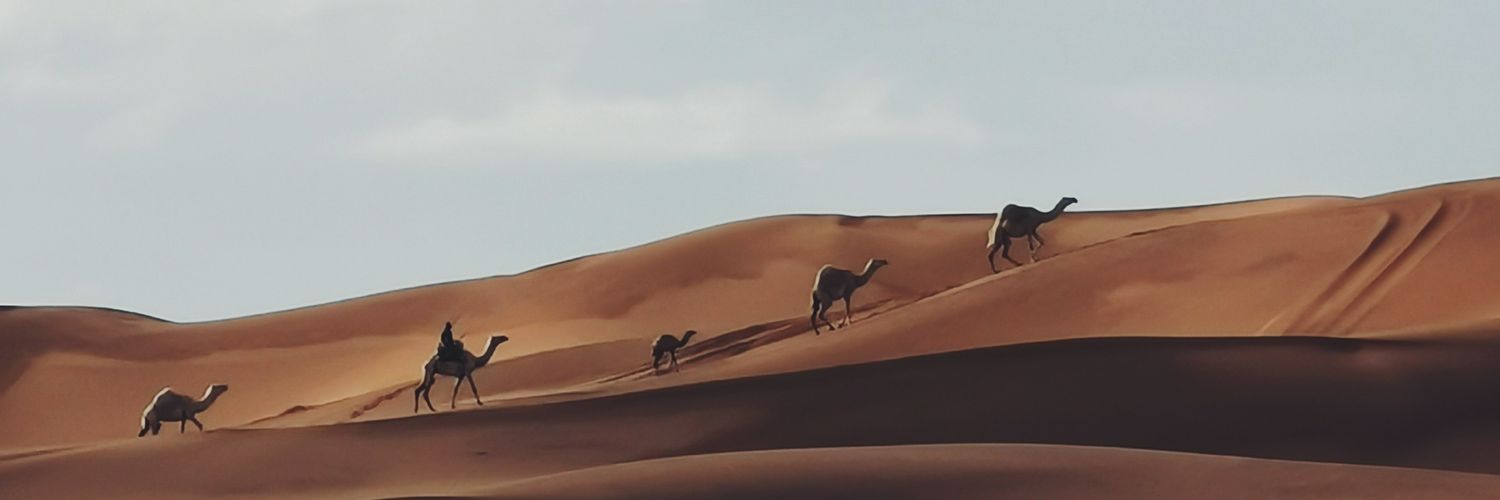 M_Osman_Z's profile banner image