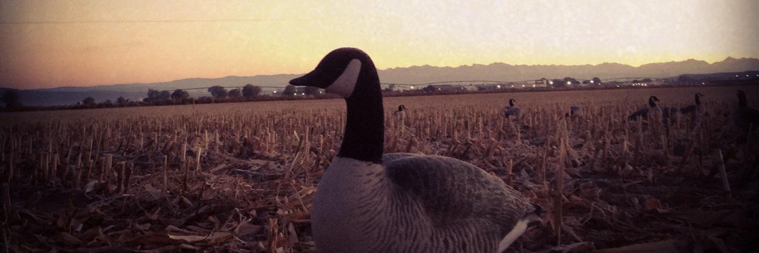 Austin_Folkman's profile banner image