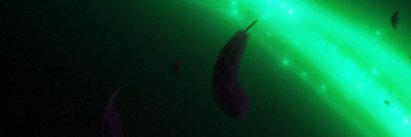 Asia Fansub ✨ banner