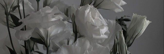 whysr__'s profile banner image