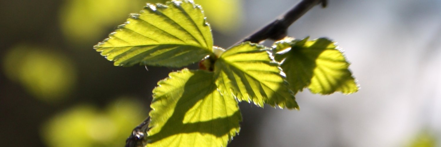Eläkeliitto banner