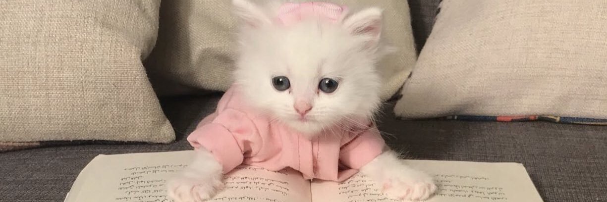 Alanood153's profile banner image