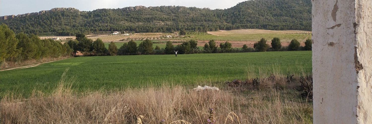 avellandea's profile banner image