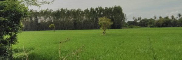 Savitritvs Profile Banner
