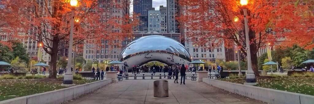 Chicago CSI Chapter banner