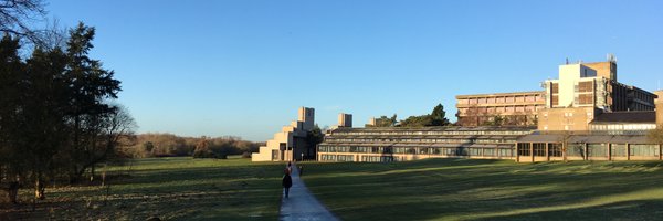 ArchaeaLaura Profile Banner