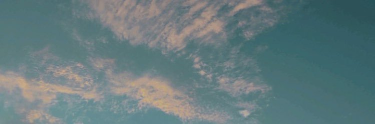 laurakellerc's profile banner image