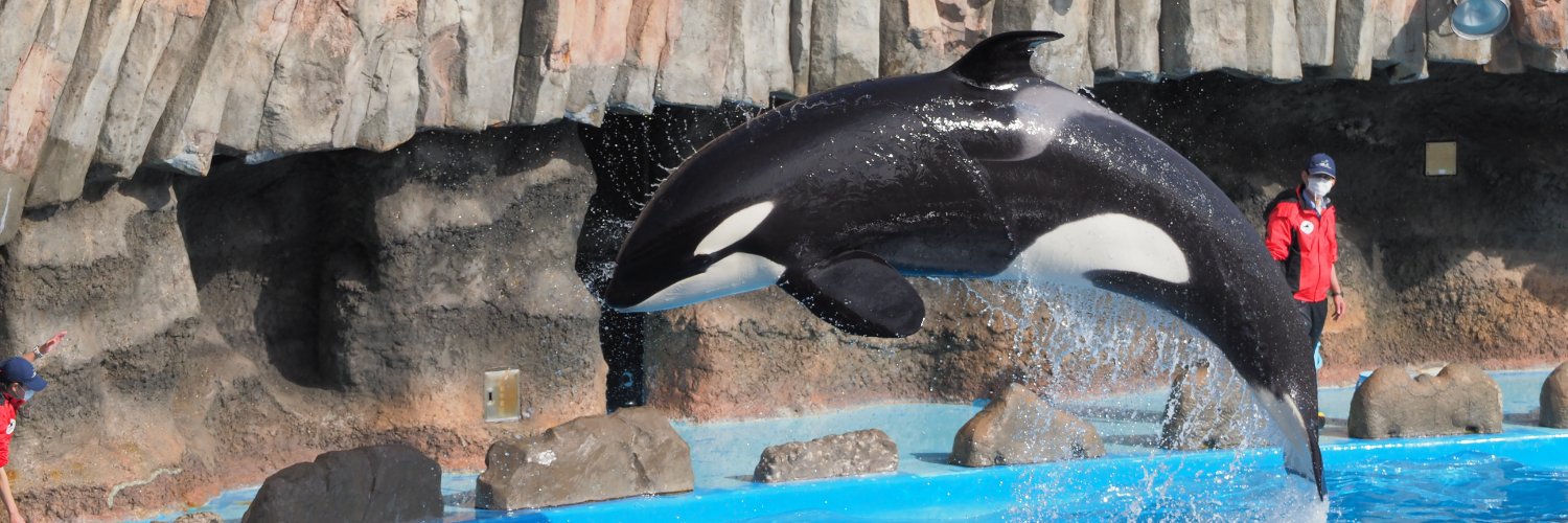 ライスサワー banner