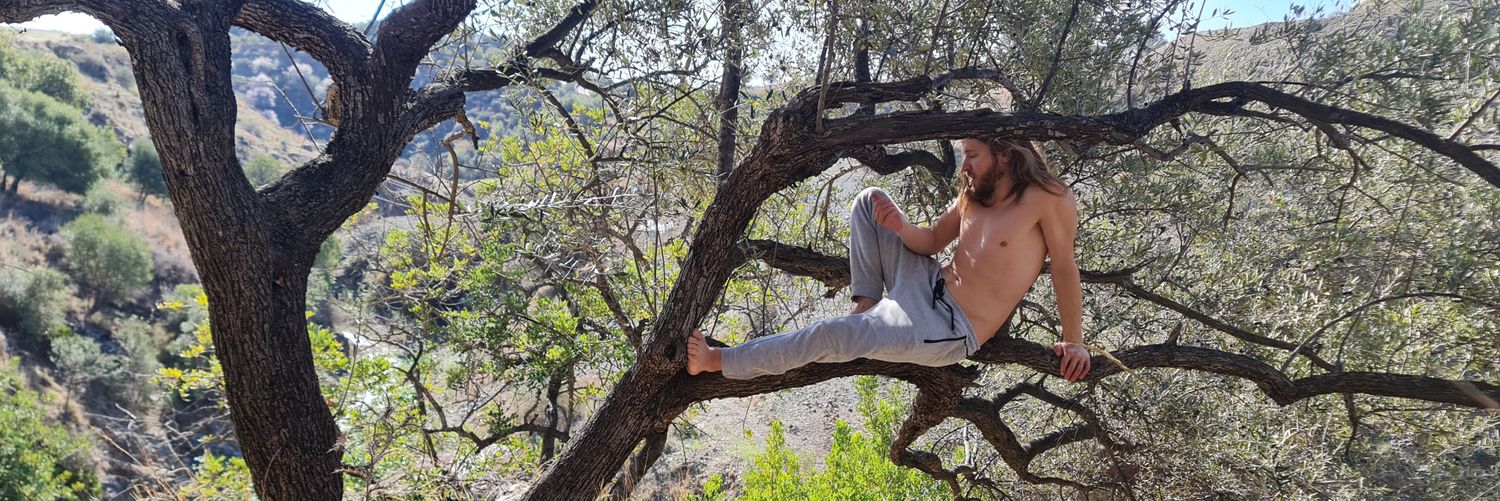 aaronasking's profile banner image