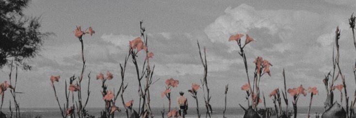 THEHER0INE's profile banner image