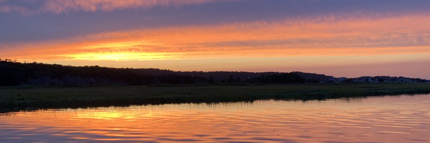Christine Perkett banner