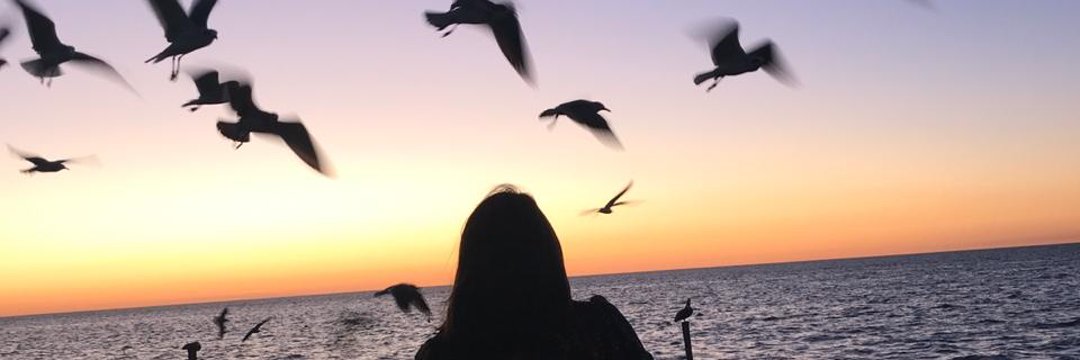 Njimenezmz's profile banner image