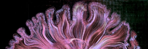 dohernba Profile Banner