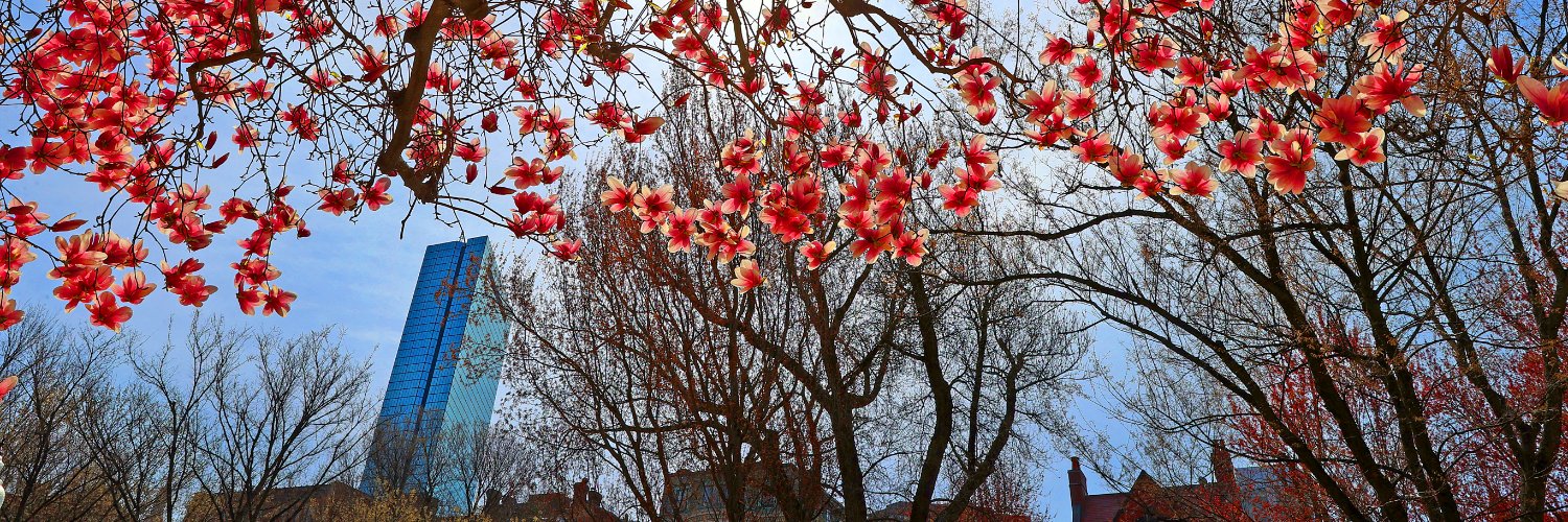 The Boston Globe (@BostonGlobe) / Posts / X