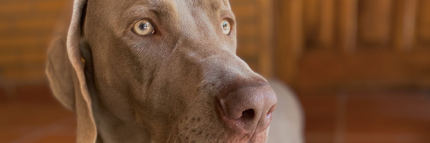 camigimenez5's profile banner image