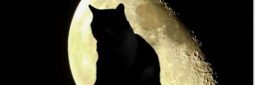 SOBRIHTv's profile banner image