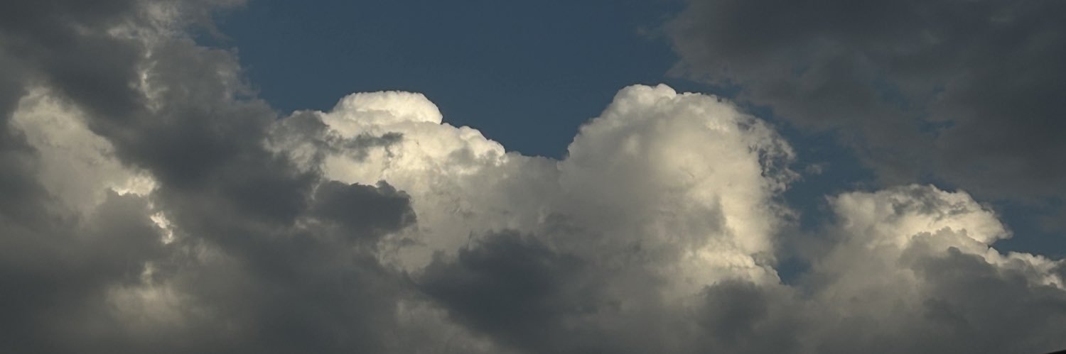cohkainee's profile banner image