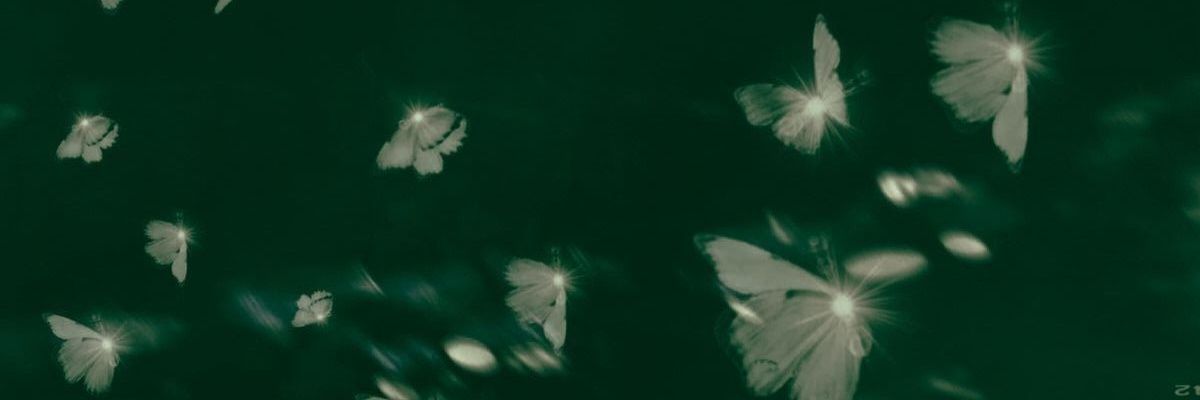 nanshooky's profile banner image