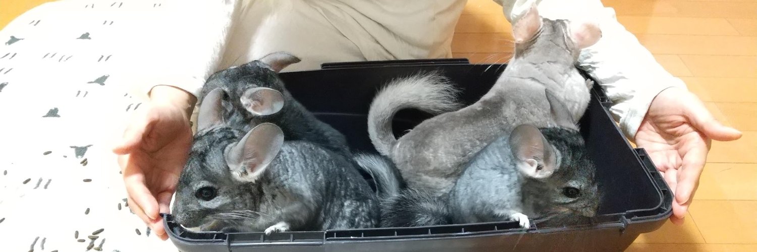 はなげさん banner