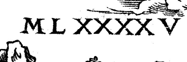 Nicolás Avellaneda banner