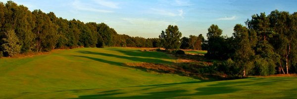 Walton Heath Golf Club Profile Banner