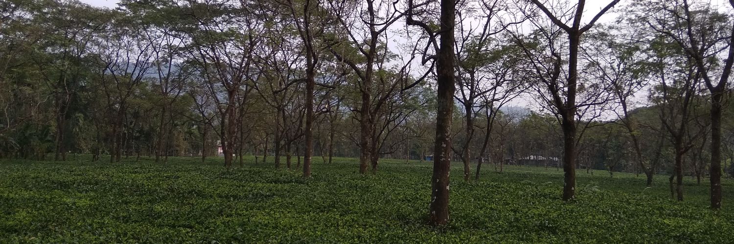SouravShome2's profile banner image