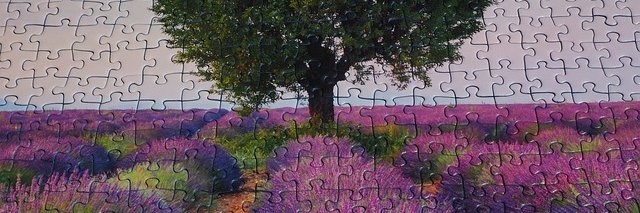 gitendronathymroy banner