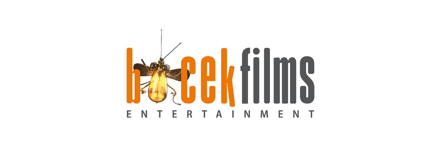 BocekFilms's profile banner image