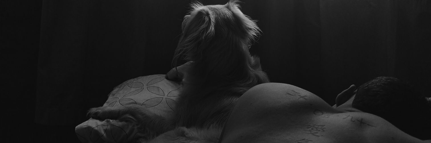 evaflavia_'s profile banner image