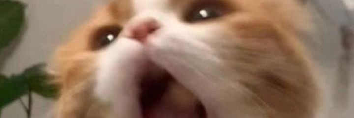 caffeinezy's profile banner image
