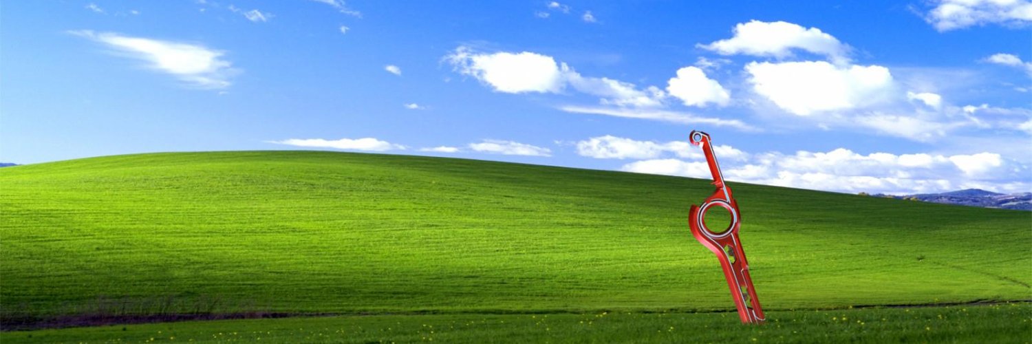 Solidus Begghy banner