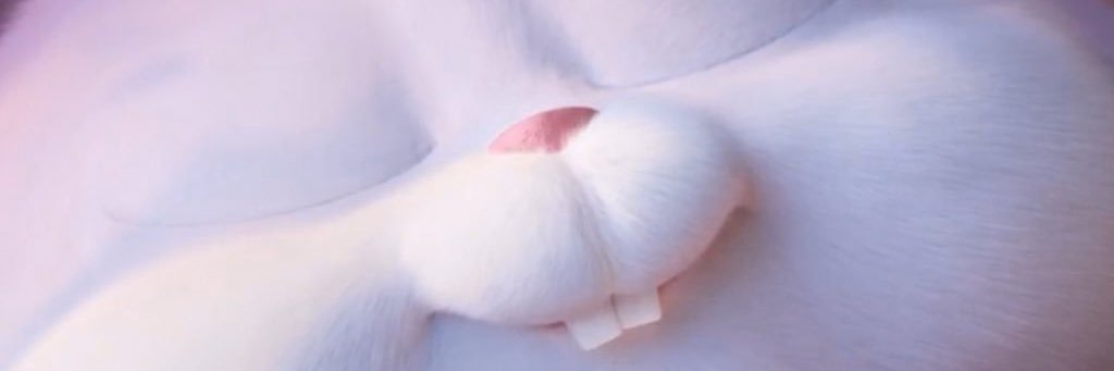 remembertao's profile banner image