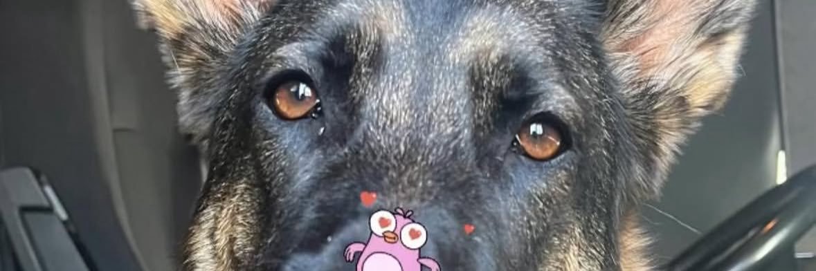 BUSYHEADHQ's profile banner image