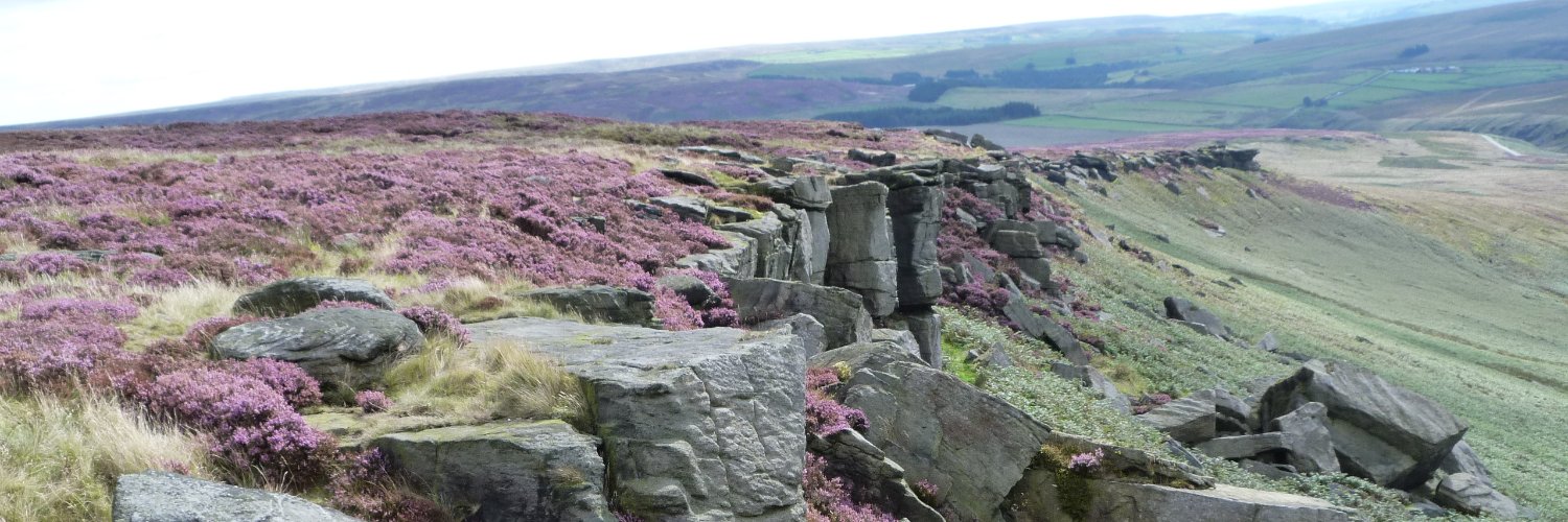 Yorkshire Walks and Wildlife banner
