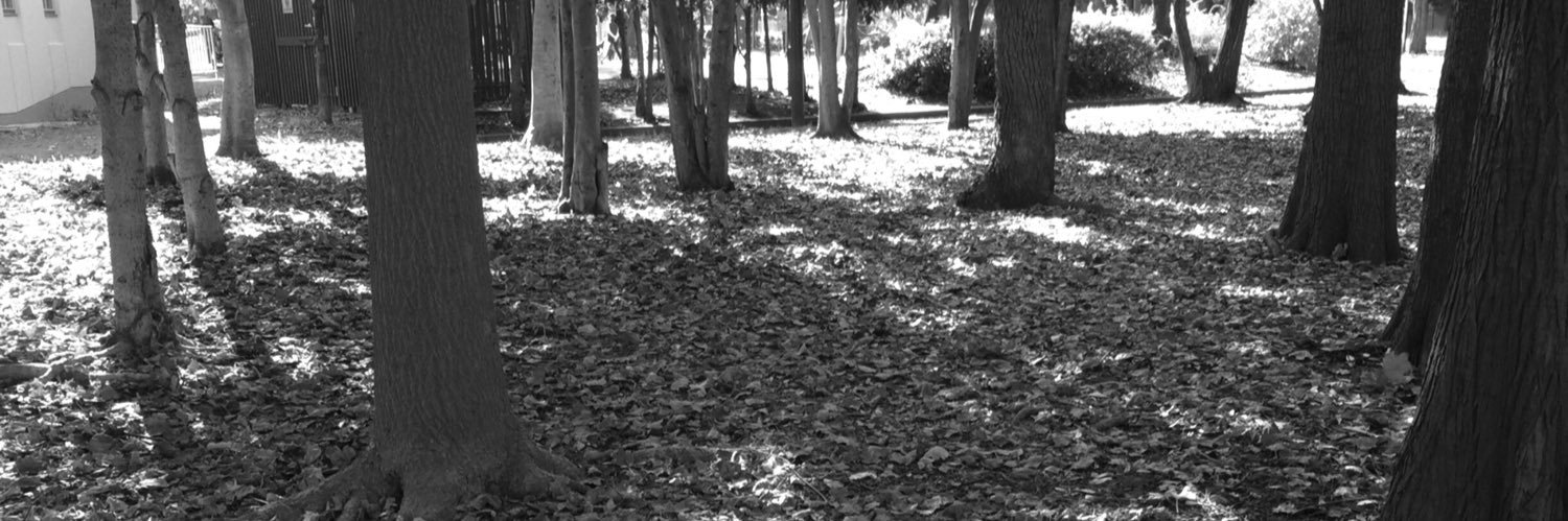 qtkmz's profile banner image
