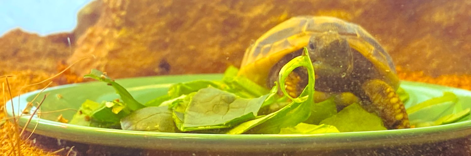 _hrobite's profile banner image