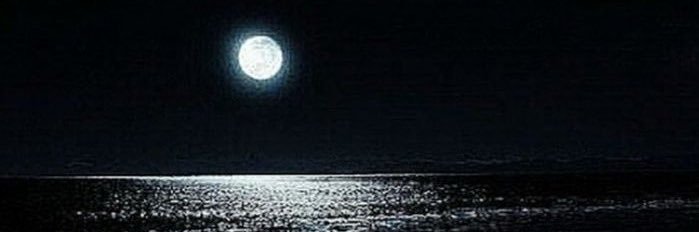 TruthNoLiars's profile banner image