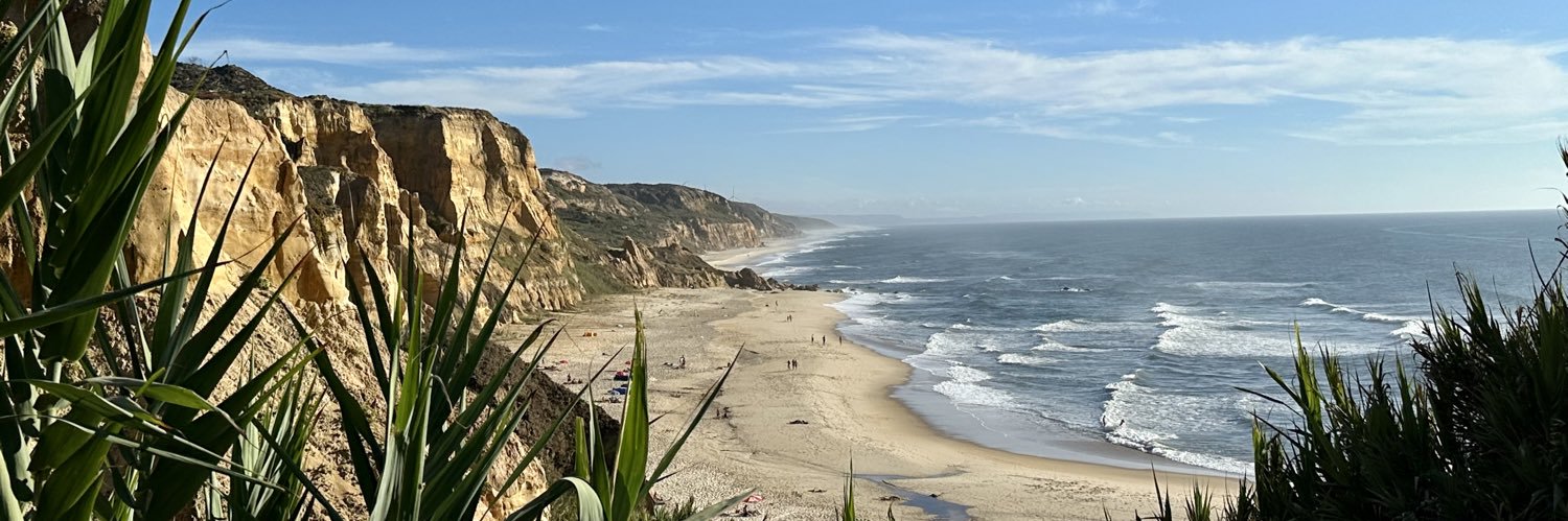 Chris Todd 🏳️‍🌈 banner