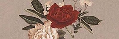 dltrufitt's profile banner image