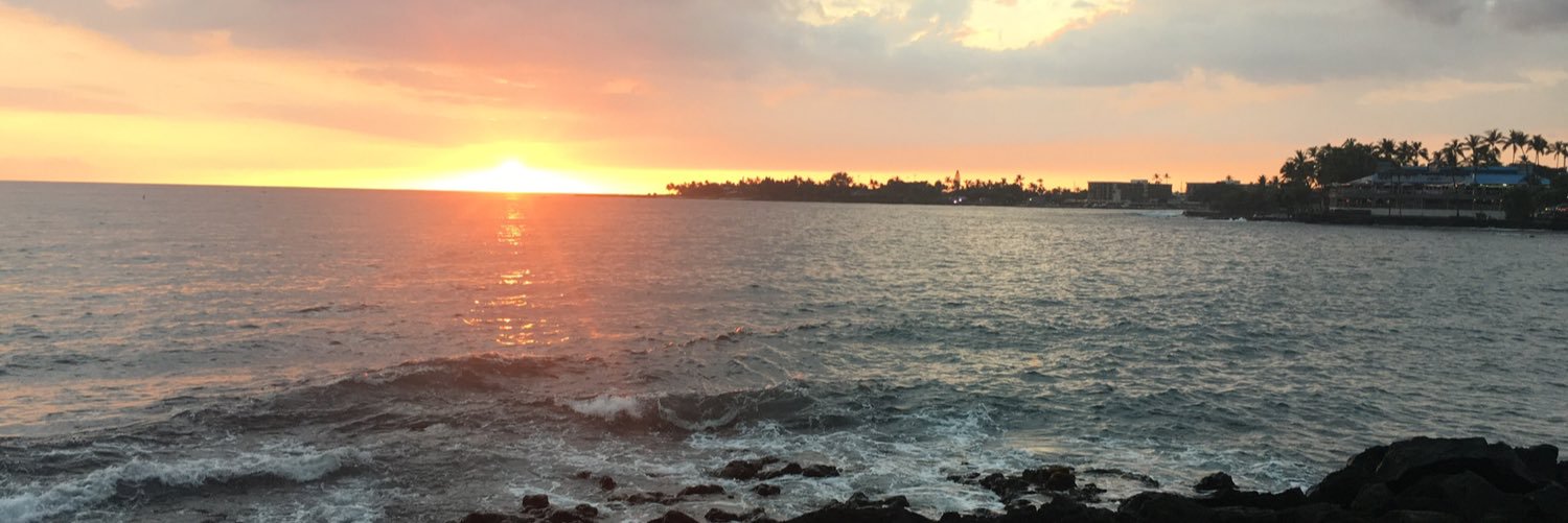 sncolborne's profile banner image