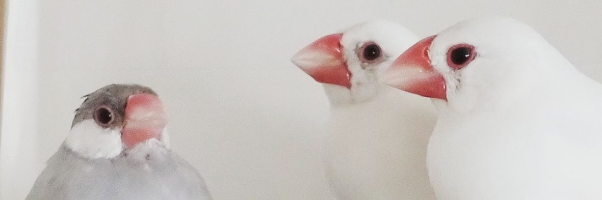 jbunf's profile banner image