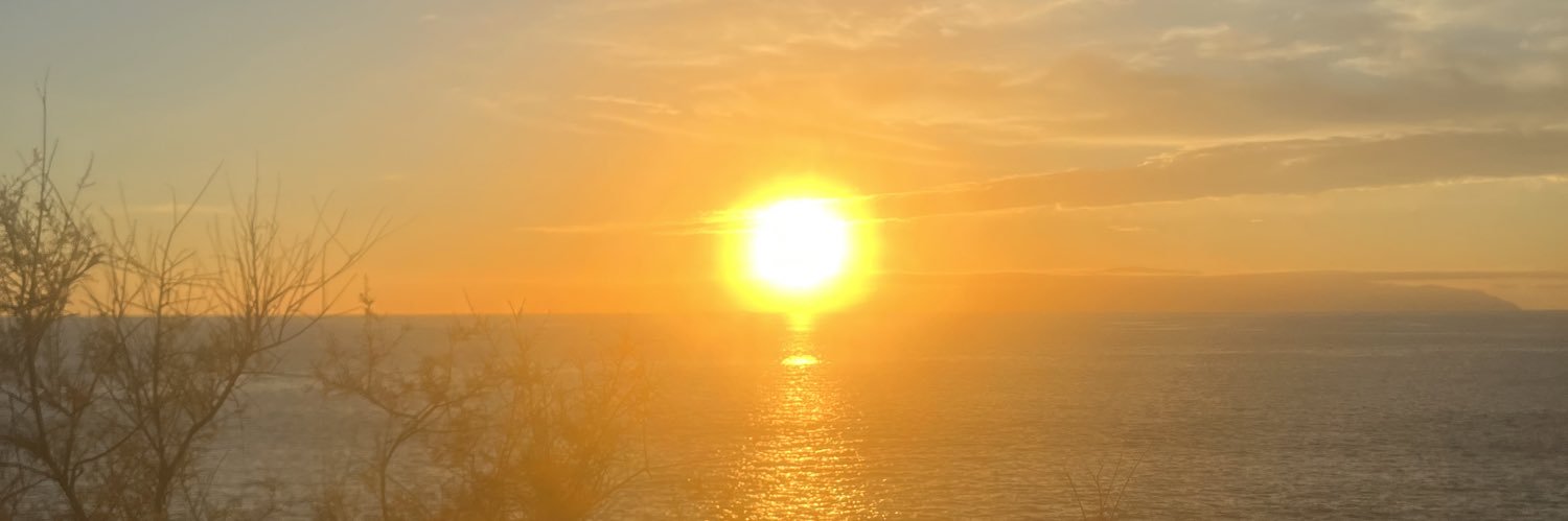 taylor_funcks's profile banner image