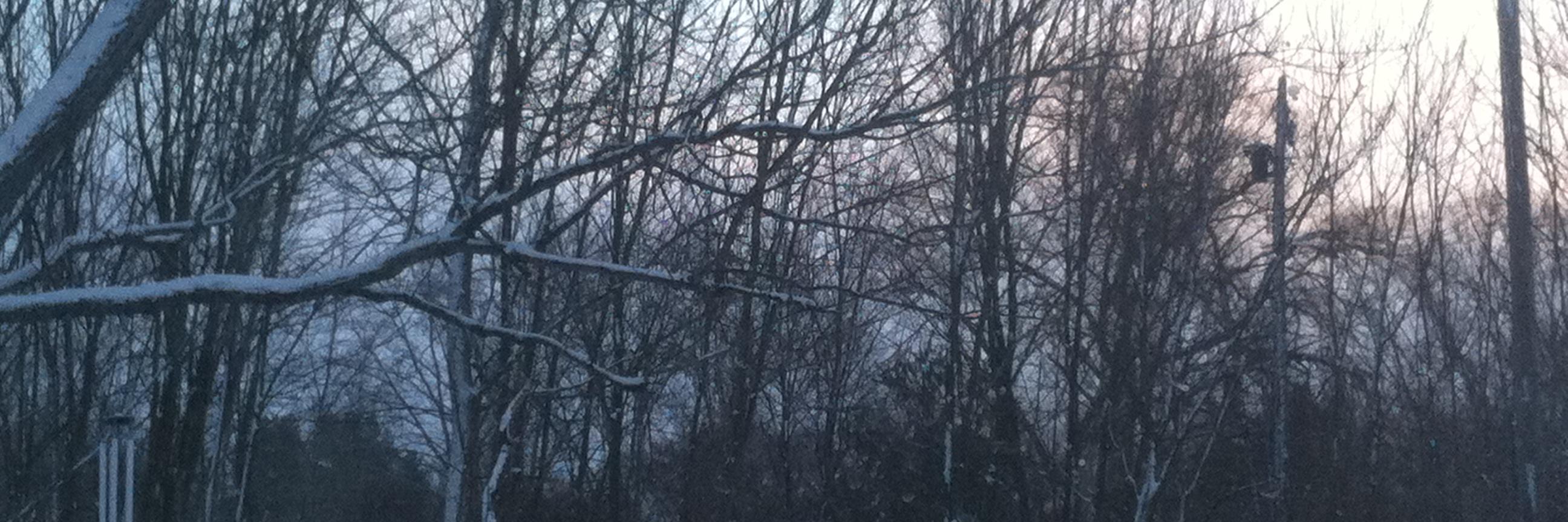 Vincent Senavitch banner