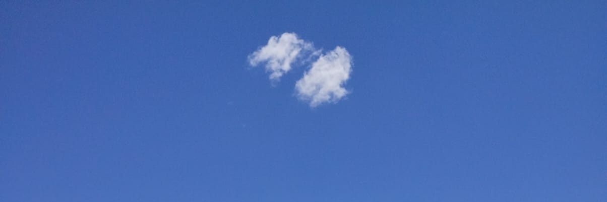 Tinchois's profile banner image