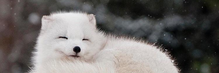 น้องจีของมี๊ 🐾2Ji 🌸✨ banner